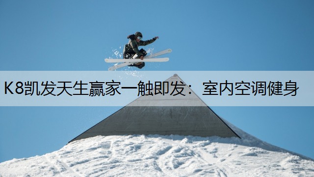 K8凯发天生赢家一触即发：室内空调健身