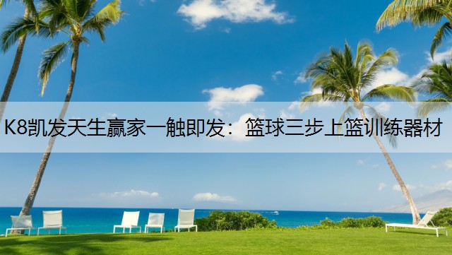 K8凯发天生赢家一触即发：篮球三步上篮训练器材