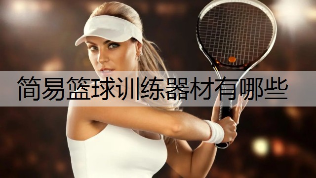 简易篮球训练器材有哪些
