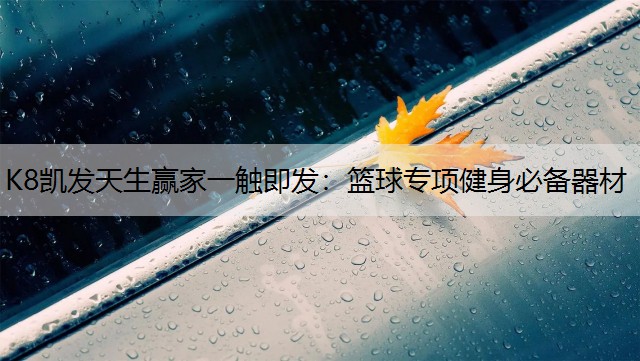 K8凯发天生赢家一触即发：篮球专项健身必备器材