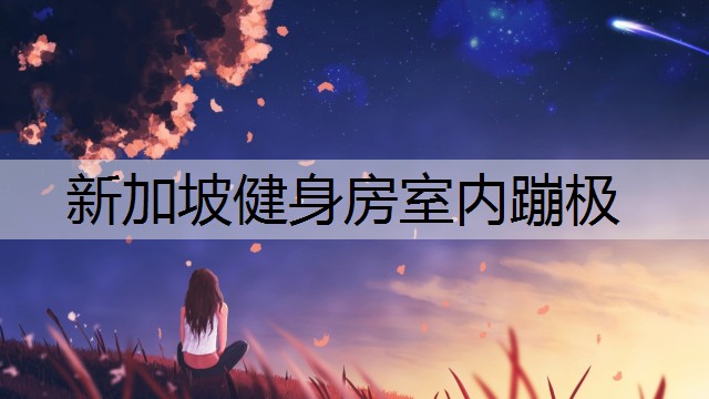新加坡健身房室内蹦极