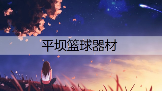 平坝篮球器材