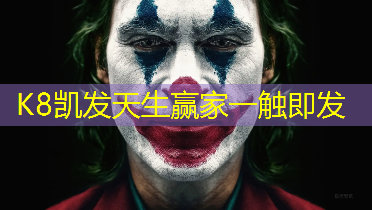 k8凯发官网入口：小胖子健身器材踏步机