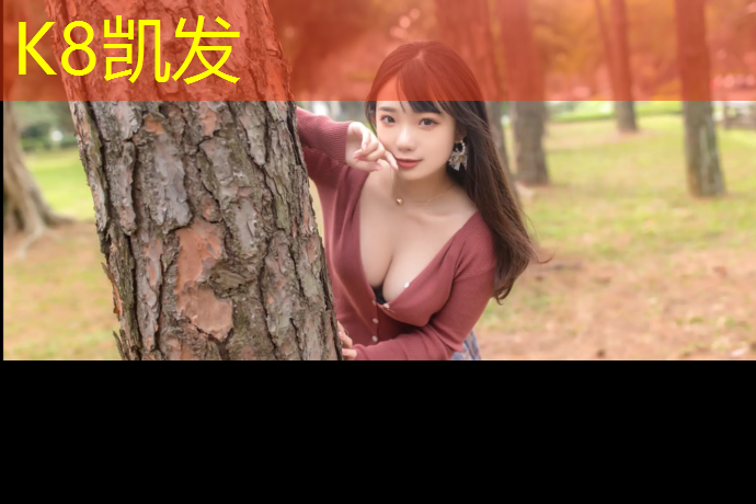 K8凯发国际官方网站：渝北网球网价格查询