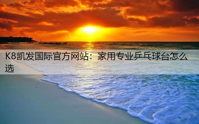 家用专业乒乓球台怎么选